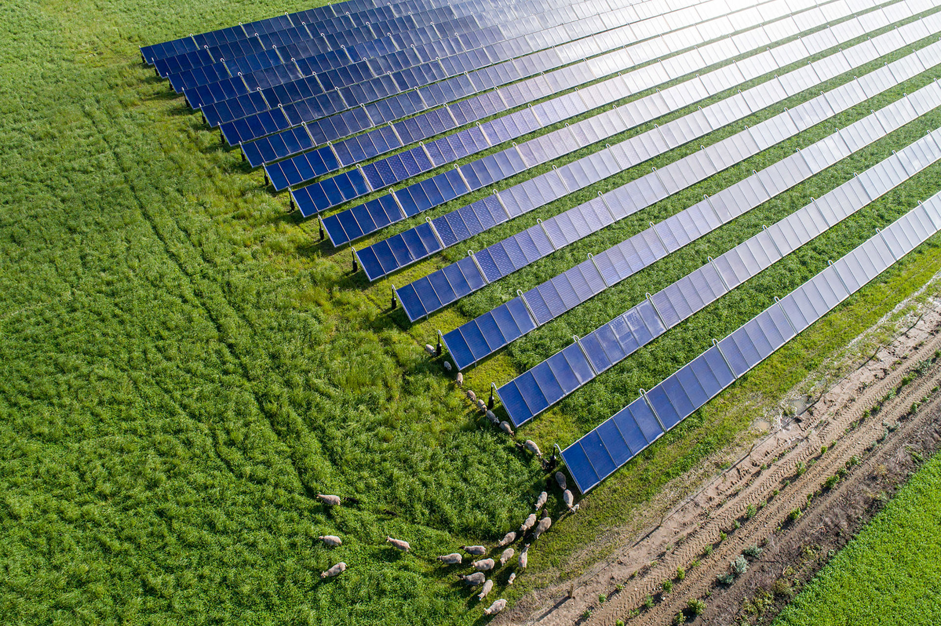 Toets warmtestrategie helpt gemeente Nijmegen te blijven verduurzamen 